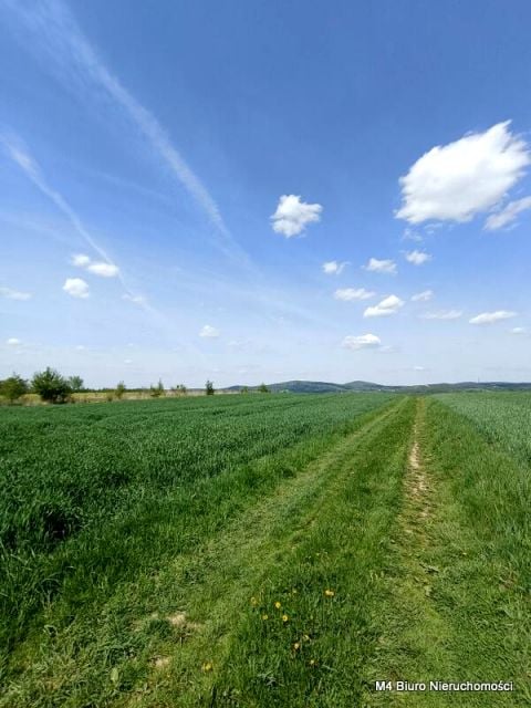 Działka Krosno