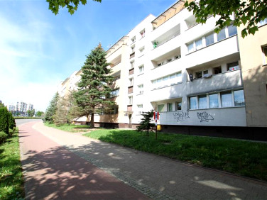 Mieszkanie Elbląg