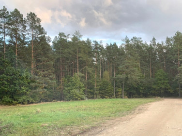 Działka budowlana Dorotowo