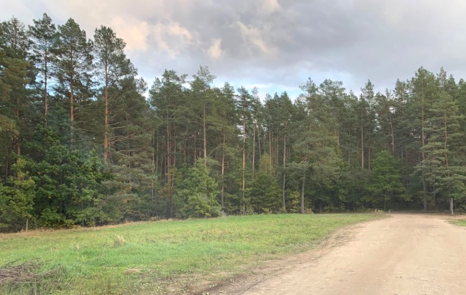 Działka budowlana Dorotowo