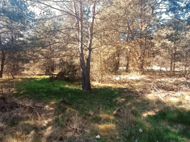 Działka siedliskowa sprzedam