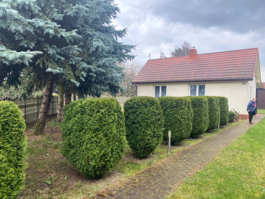 Dom Franciszków Nowy