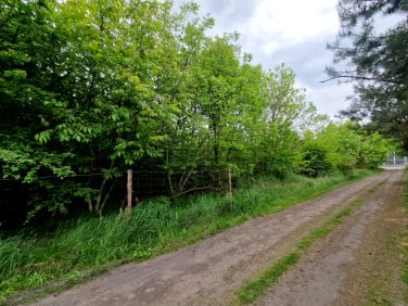 Działka budowlana Orzesze