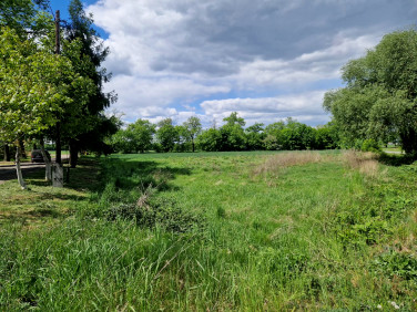 Działka Mikołów