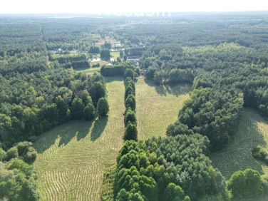 Działka rolna Cisza