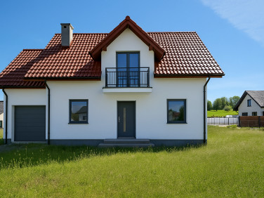 Dom Wilków