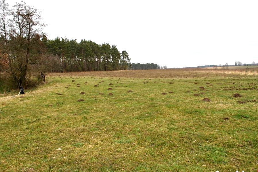 Działka inna Góra