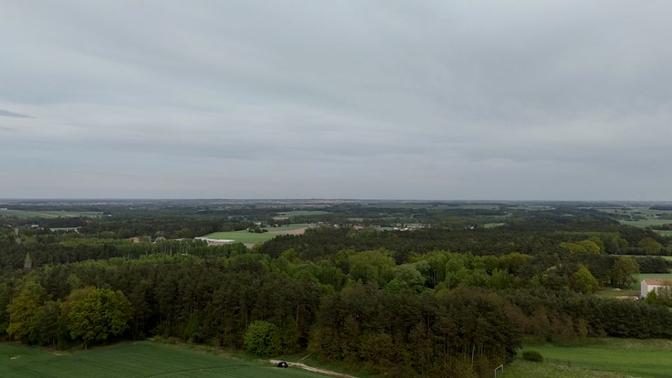Działka przy lesie