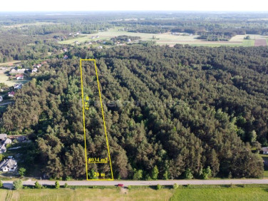 Działka leśna Gulczewo