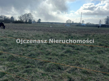 Działka Przyłęki