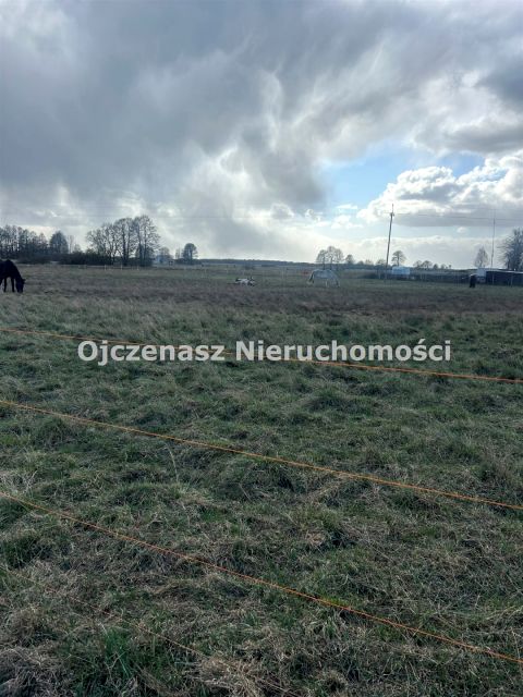 Działka Przyłęki