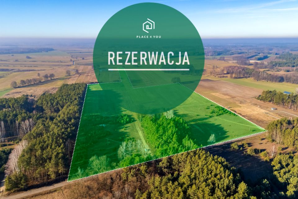 Działka Borki