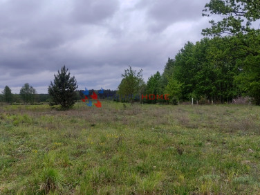 Działka budowlana Sierzchów