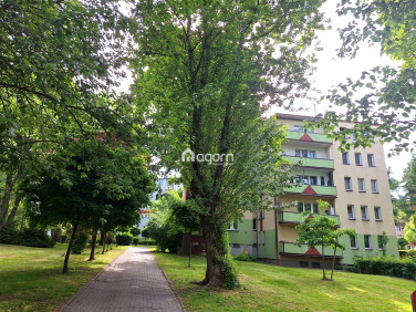 Mieszkanie Bielsko-Biała