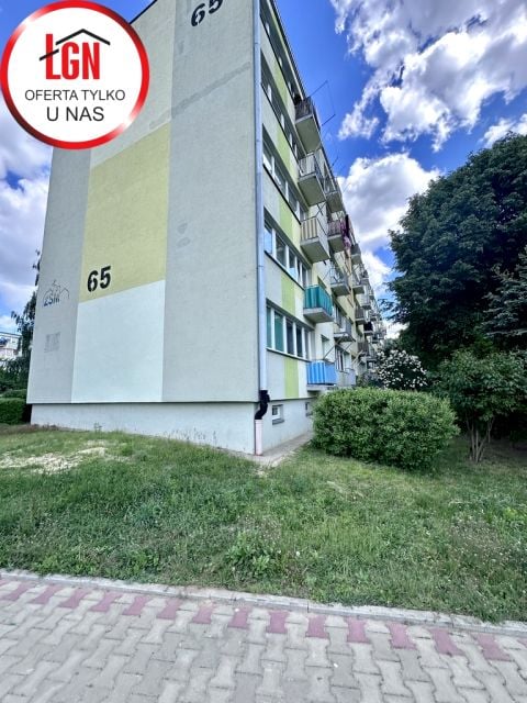 Mieszkanie przy lesie