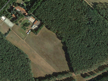 Działka budowlana Międzychód