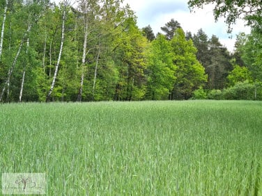 Działka Helenów