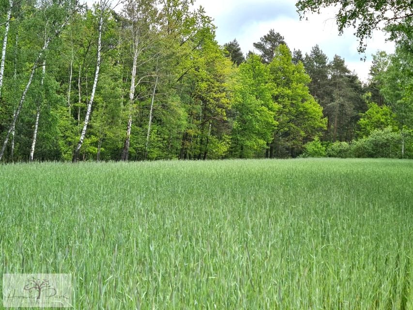 Działka Helenów