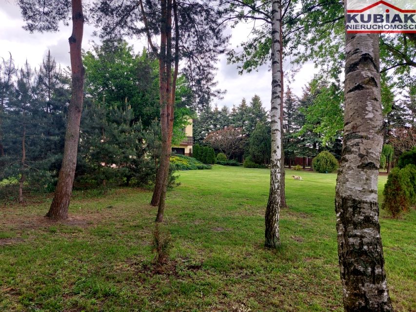 Dom Żabia Wola