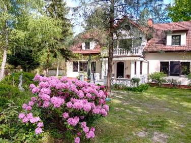 Dom Runów