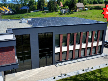 Lokal Kraków