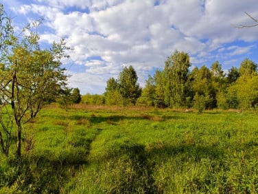 Działka budowlana Osieck