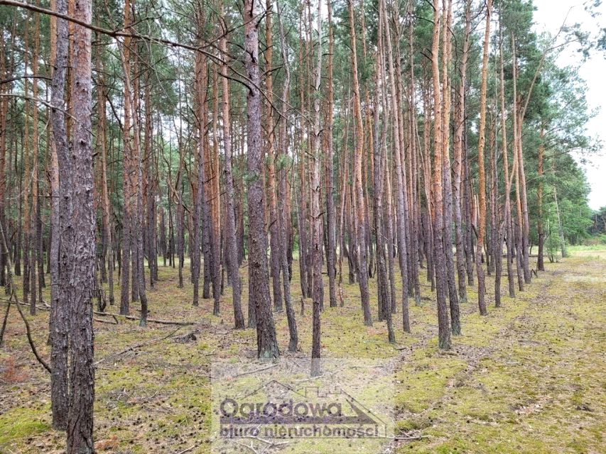 Działka budowlana Popowo-Letnisko