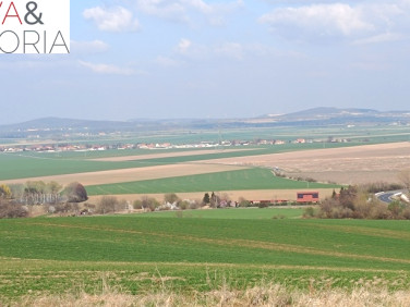 Działka Dobromierz