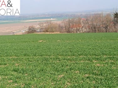 Działka Dobromierz