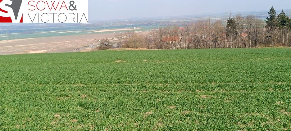 Działka Dobromierz