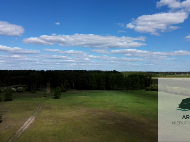 Działka Lubczyna