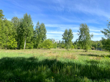 Działka Prusinowice