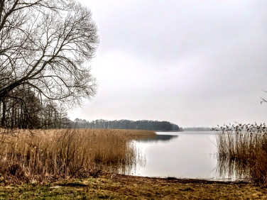 Działka budowlana Stary Gieląd
