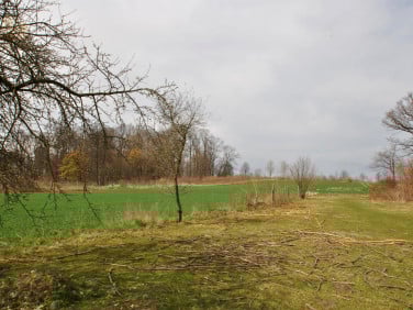 Działka budowlano-rolna Strzelce
