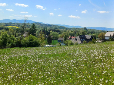Działka budowlana Dzięgielów