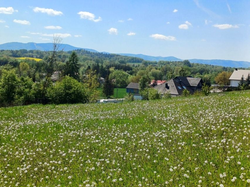 Działka budowlana Dzięgielów