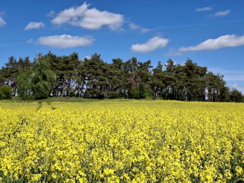 Działka budowlano-rolna Parsów