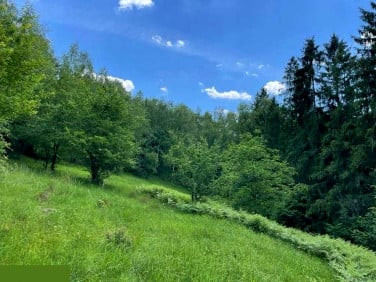 Działka rolna Wisła