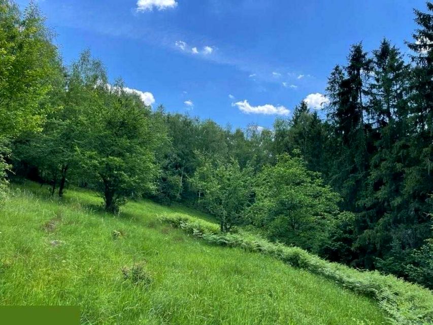 Działka rolna Wisła