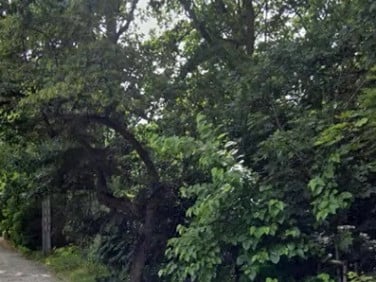 Działka budowlana Milanówek