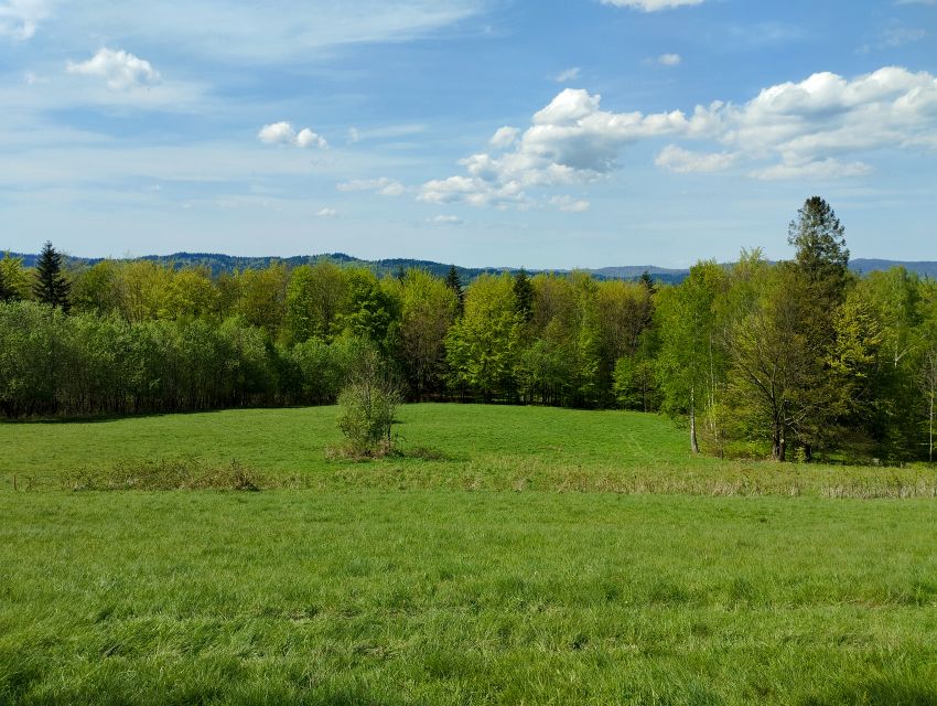 Działka budowlana Lachowice