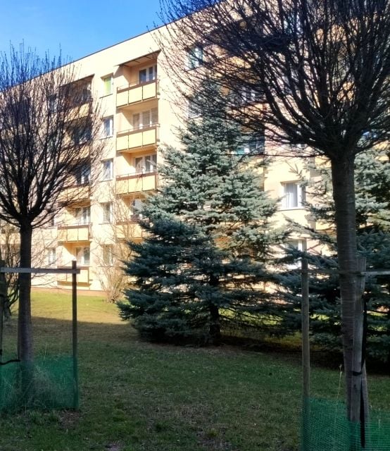 Mieszkanie Radom