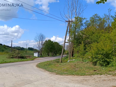 Działka leśna sprzedam