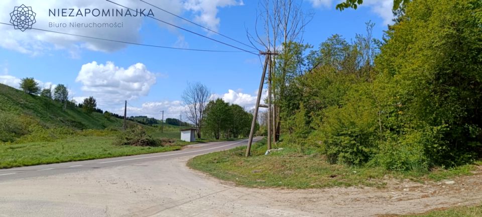 Działka leśna sprzedam
