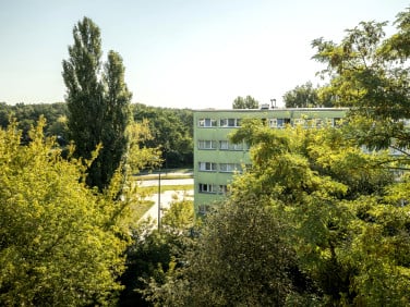 Mieszkanie Łódź