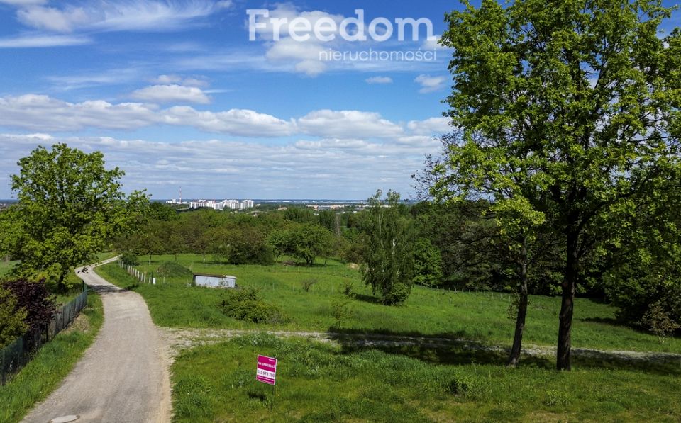 Działka przy lesie
