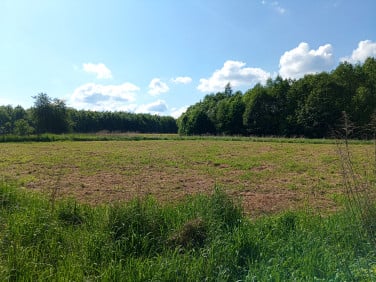 Działka budowlana Bulowice
