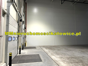 Budynek użytkowy Katowice
