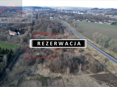 Działka usługowa Lubań