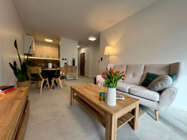 Mieszkanie apartamentowiec wynajem